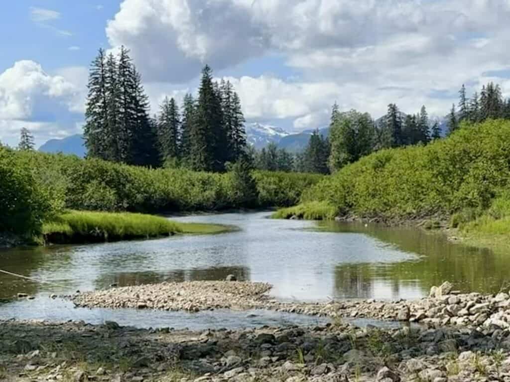 Slough leading to Chief Shakes Hot Springs on the Stikine River near Wrangell, Alaska.