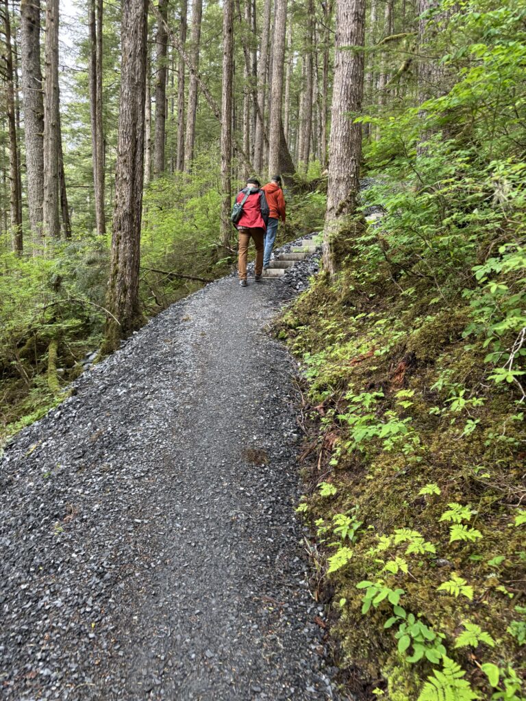Two hikers walking up the forested Mt. Dewey Trail toward the overlook in Wrangell, Alaska.