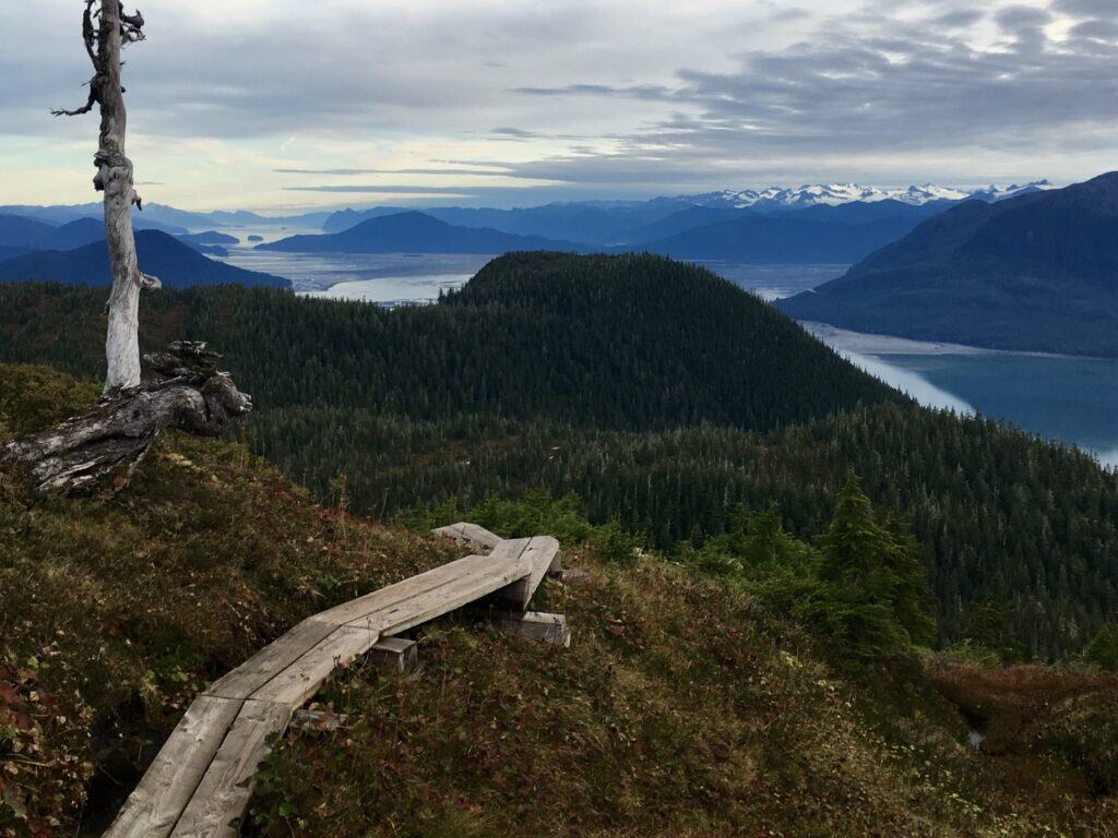 Panoramic view from the Wrangell Falls trail overlooking Eastern Passage and the Stikine River Delta near Wrangell, Alaska.