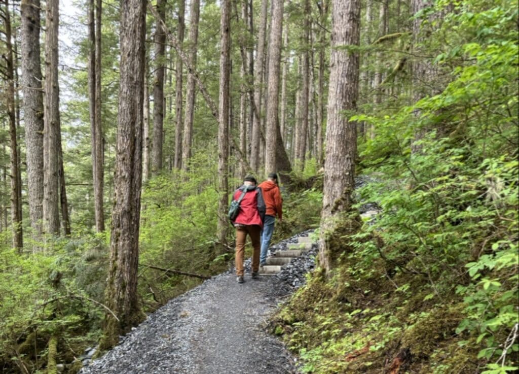 Two hikers walking up the forested Mt. Dewey Trail toward the overlook in Wrangell, Alaska.